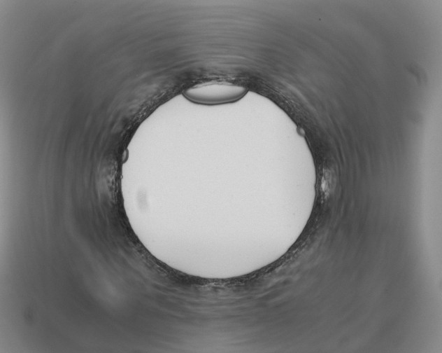 X0000113170867200910021520