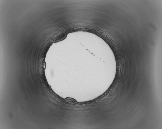 X0000113170868200910021520
