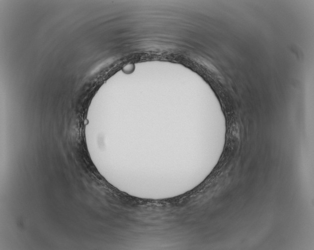 X0000113170869200910021520