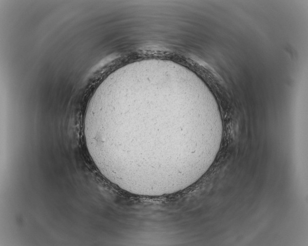 X0000113170870200910021520