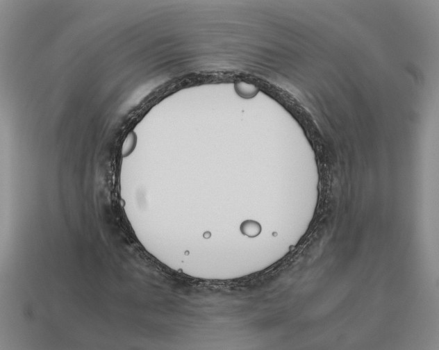 X0000113170871200910021520