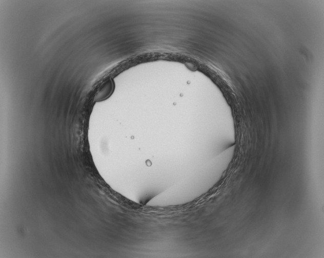 X0000113170872200910021520