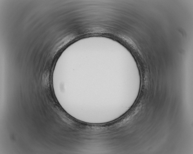 X0000113170873200910021520