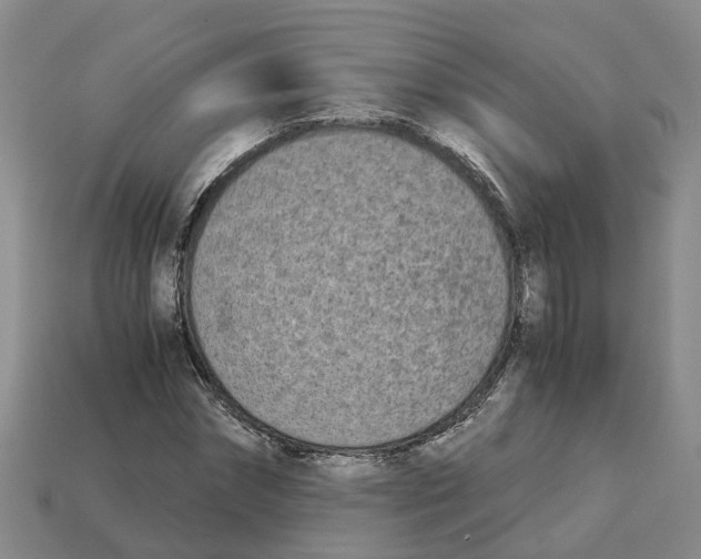 X0000113170874200910021520