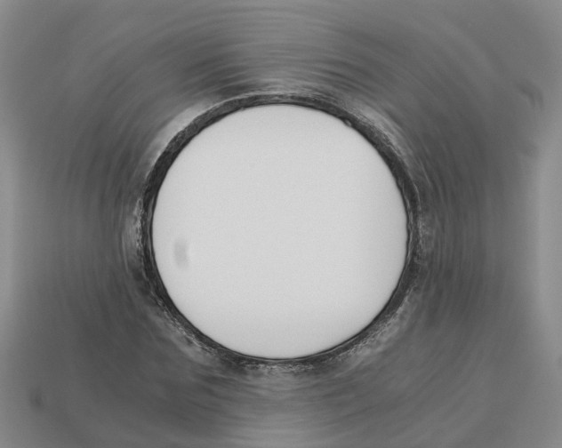X0000113170875200910021520