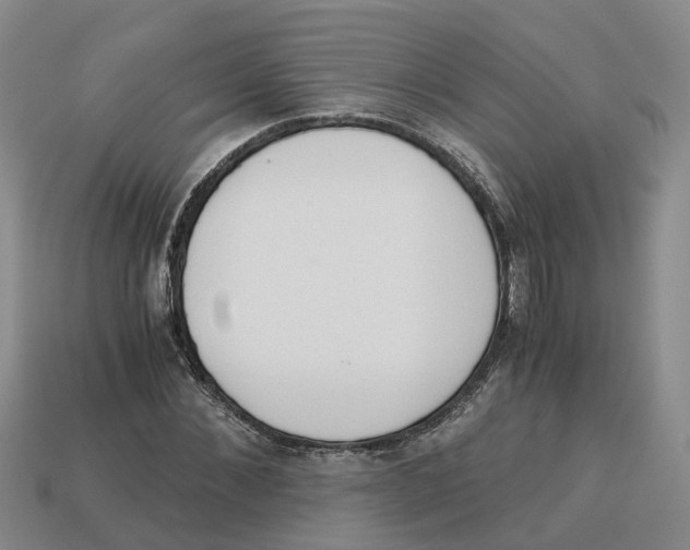X0000113170876200910021520