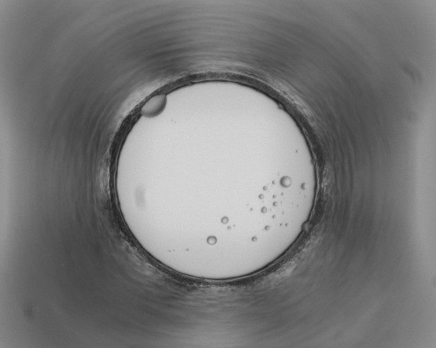 X0000113170877200910021520