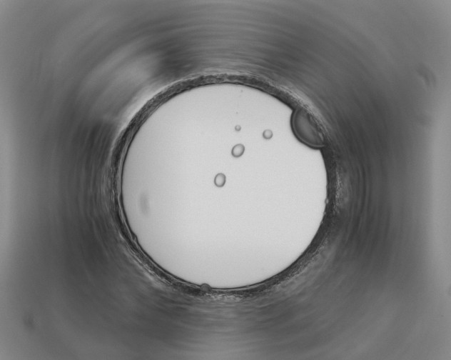 X0000113170878200910021520