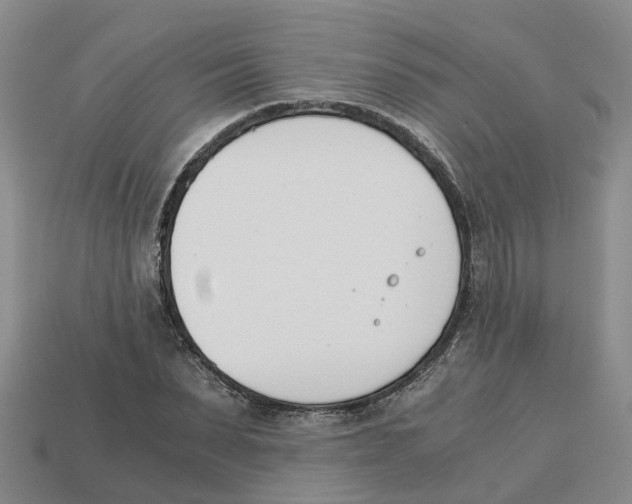 X0000113170879200910021520