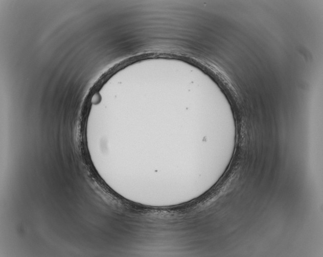 X0000113170880200910021520