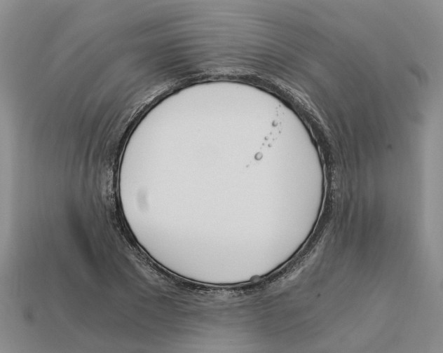 X0000113170881200910021520