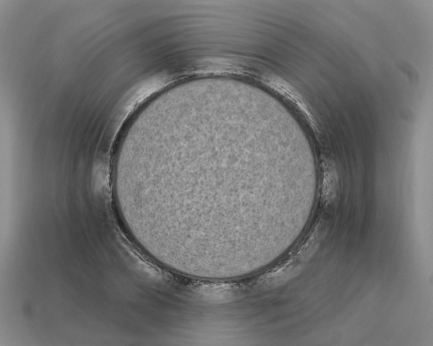 X0000113170882200910021520