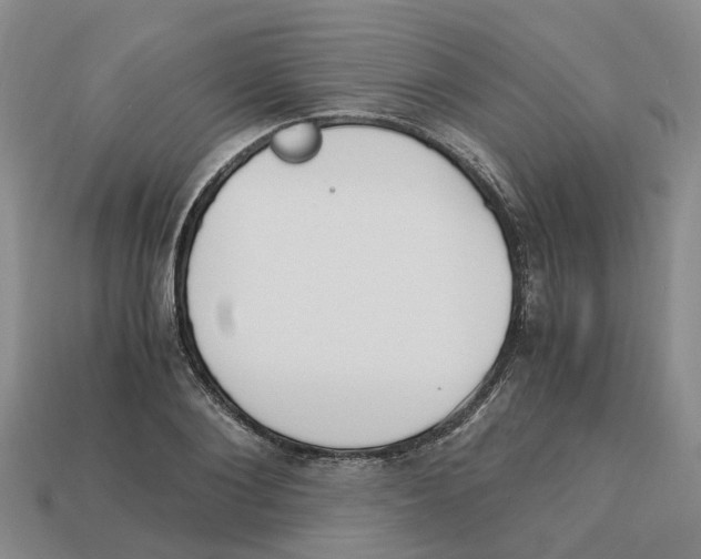 X0000113170884200910021520