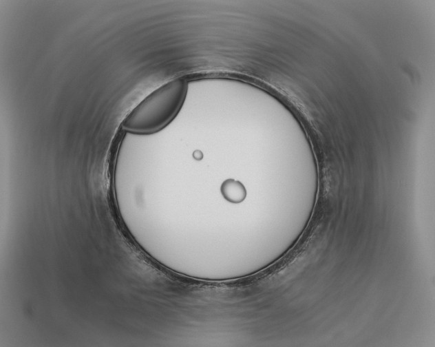 X0000113170885200910021520