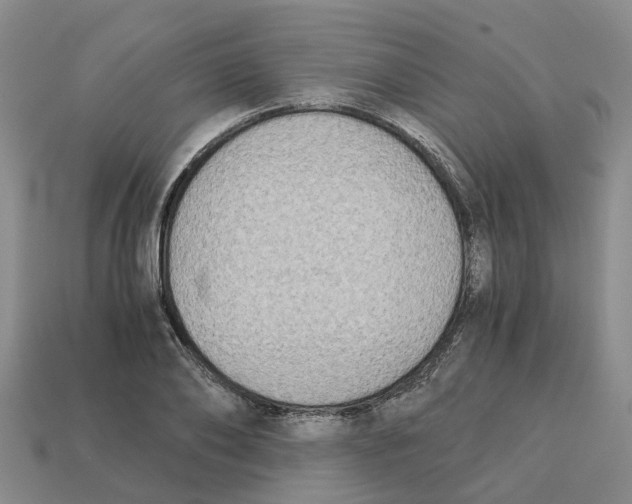 X0000113170886200910021520