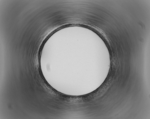 X0000113170887200910021520