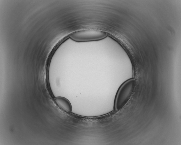 X0000113170888200910021520