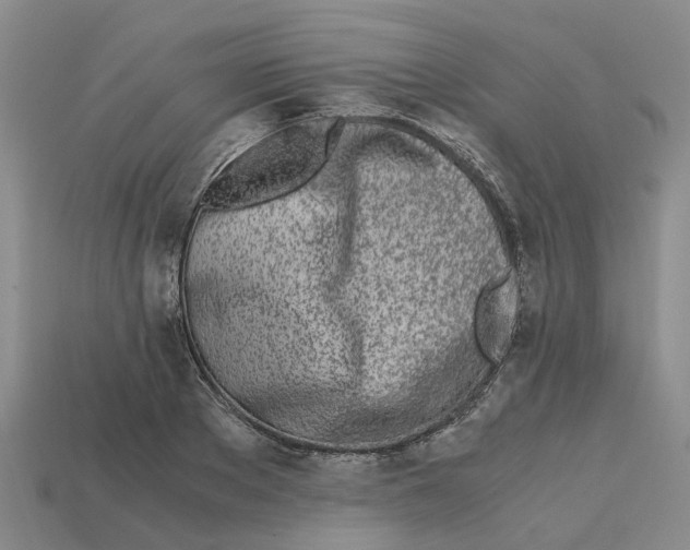 X0000113170889200910021520