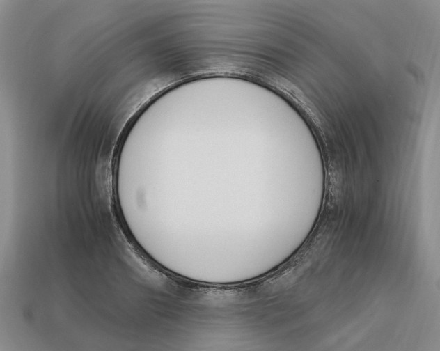 X0000113170890200910021520