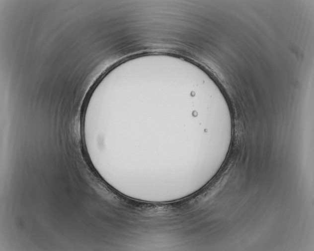 X0000113170891200910021520