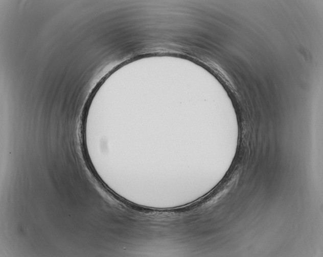 X0000113170893200910021520