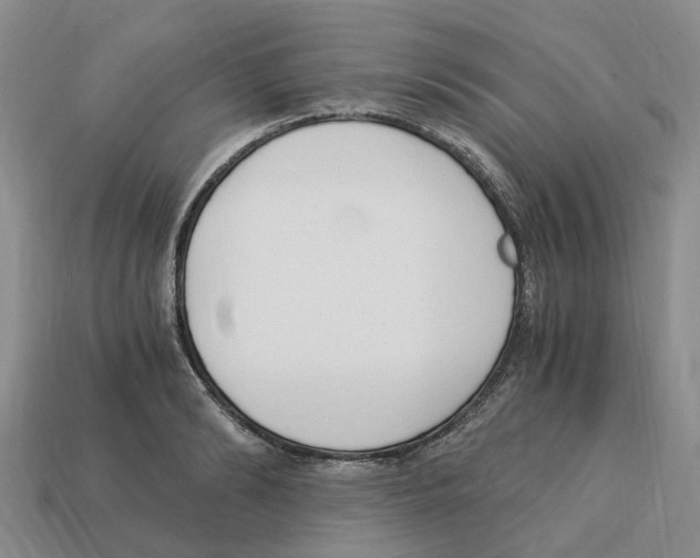 X0000113170894200910021520