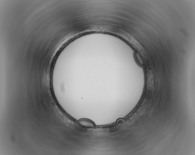 X0000113170896200910021520