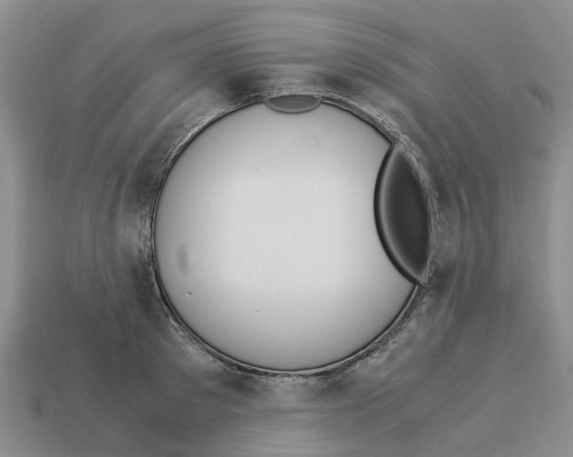 X0000113170897200910021520