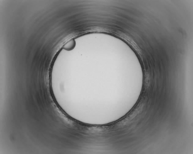 X0000113170898200910021520