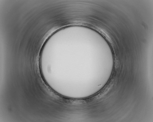 X0000113170899200910021520