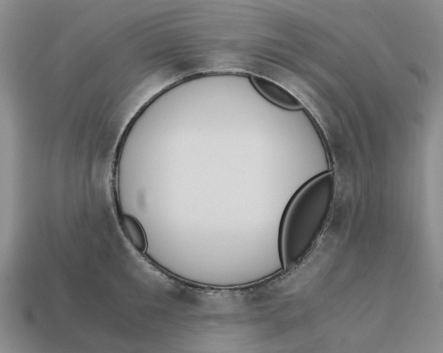 X0000113170901200910021520