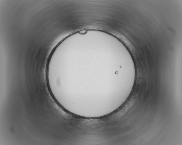 X0000113170902200910021520