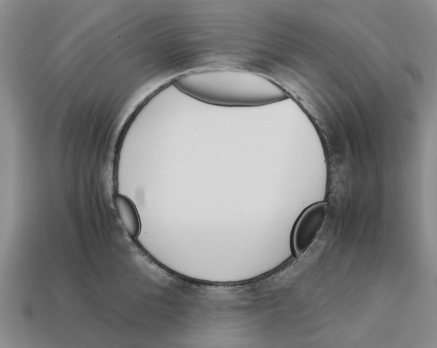 X0000113170904200910021520
