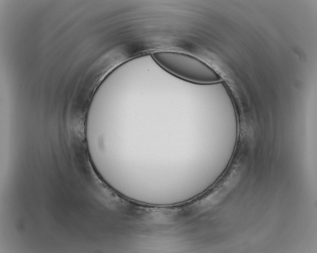 X0000113170905200910021520