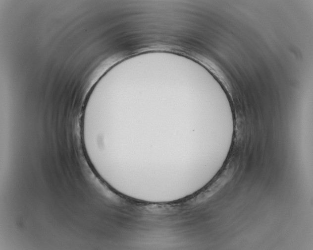 X0000113170906200910021520
