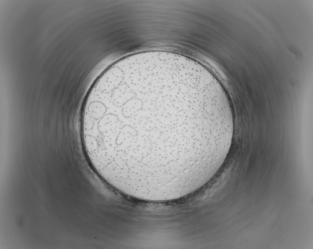 X0000113170907200910021520
