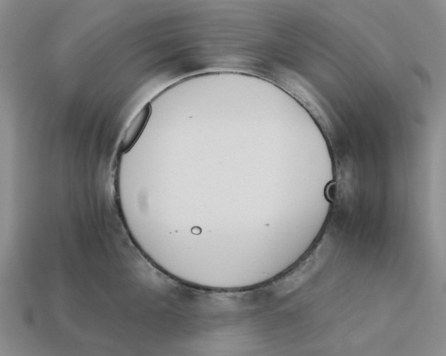 X0000113170908200910021520