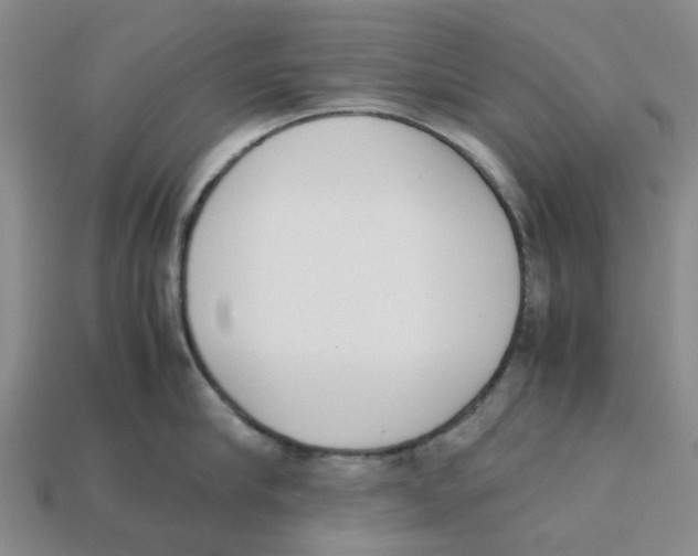 X0000113170910200910021520