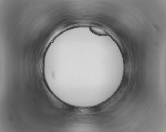 X0000113170911200910021520