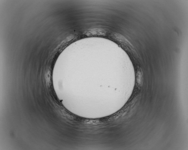 X0000113170915200910021519