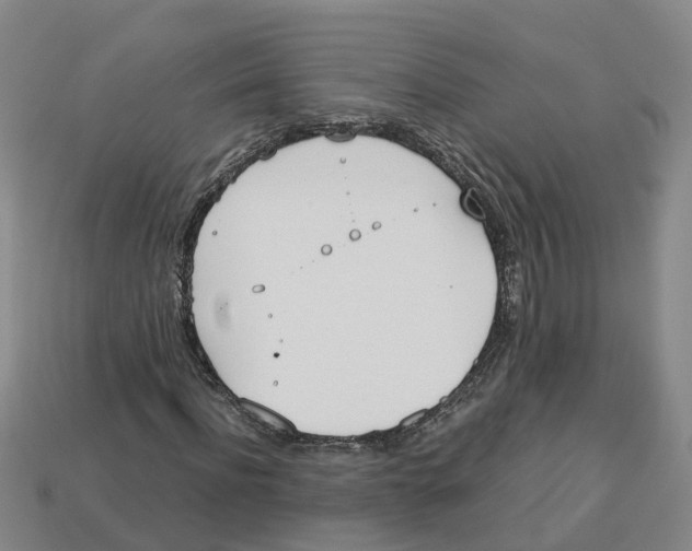 X0000113170916200910021519