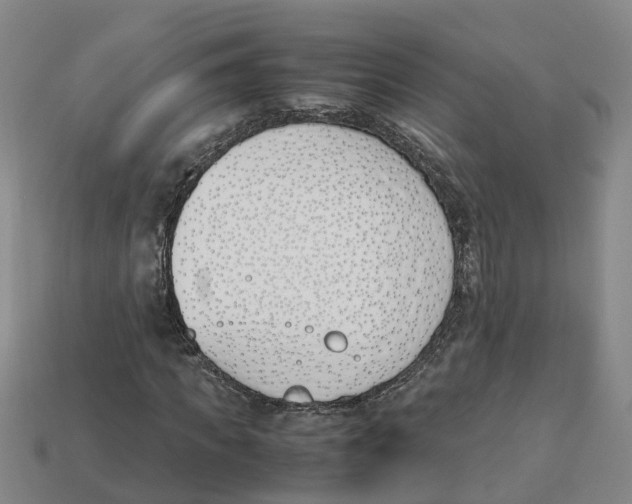 X0000113170917200910021519