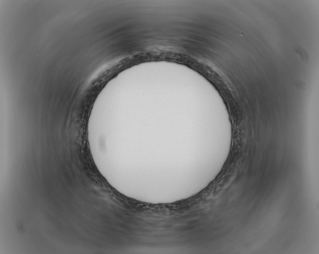 X0000113170919200910021519