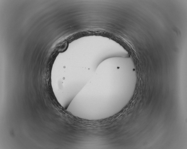 X0000113170920200910021519