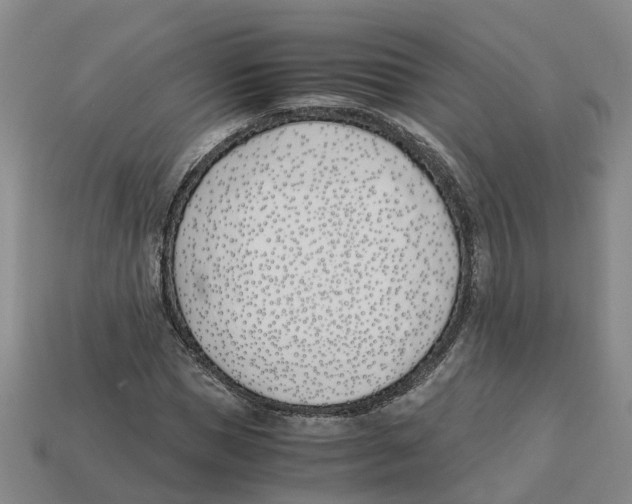 X0000113170921200910021519