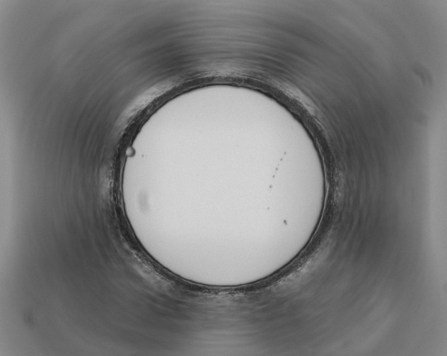 X0000113170922200910021519