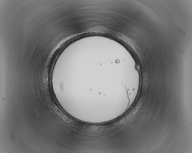 X0000113170923200910021519