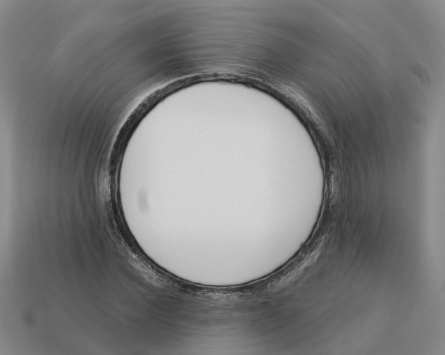 X0000113170924200910021519