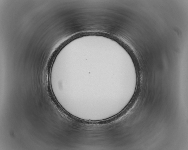 X0000113170925200910021519