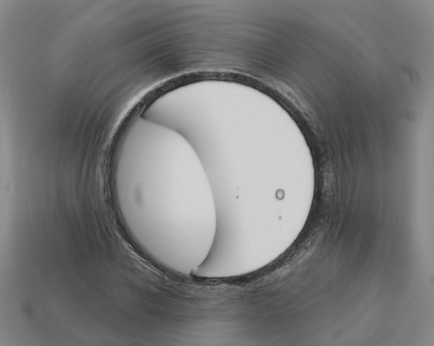 X0000113170926200910021519